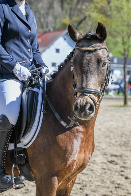 保持冷静的 保持冷静的