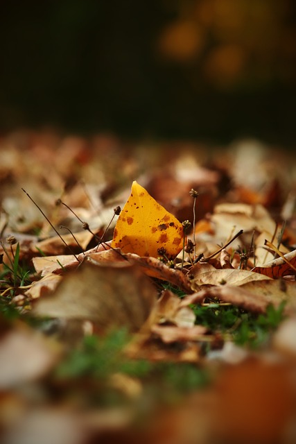 出的潜力与 出的潜力与