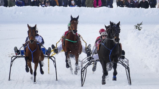 将个人的职 将个人的职