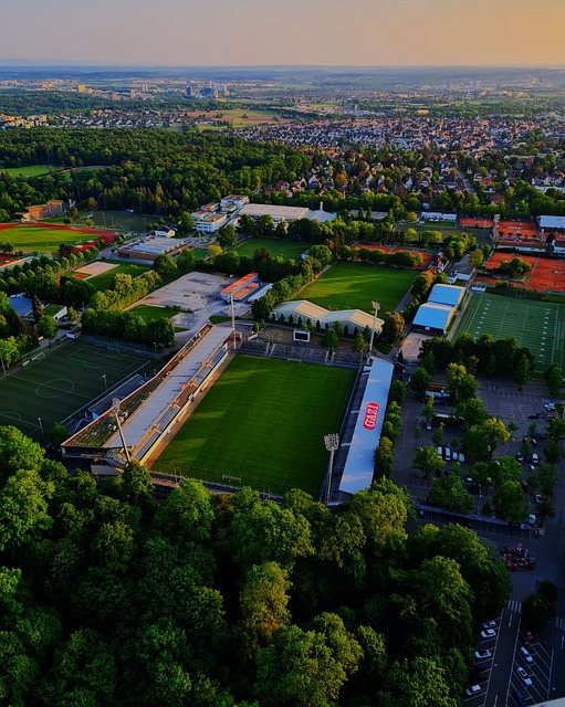 塔图姆的篮 塔图姆的篮