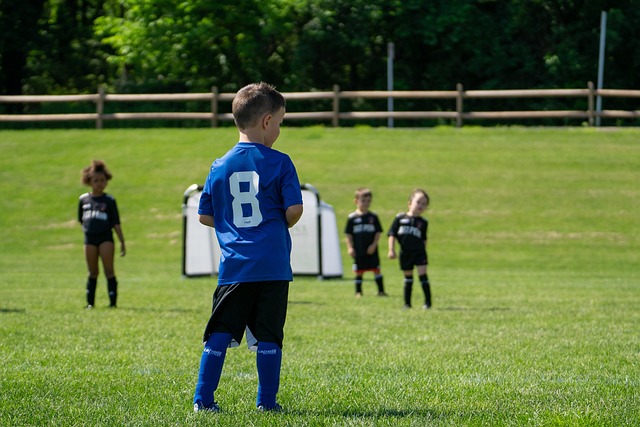 可以看到两 可以看到两