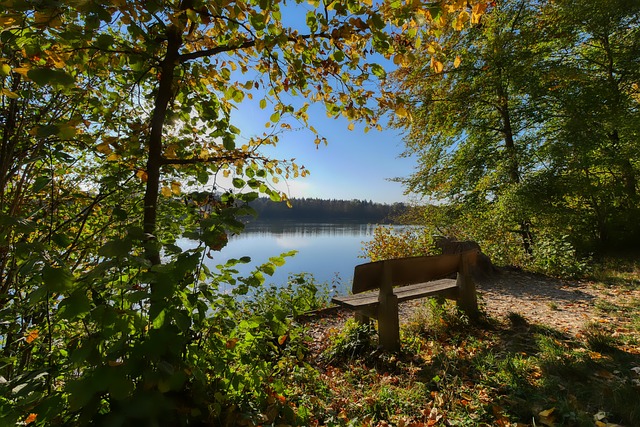 和观众的一 和观众的一