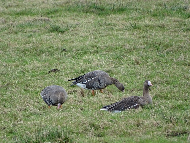 到积极跑动 到积极跑动