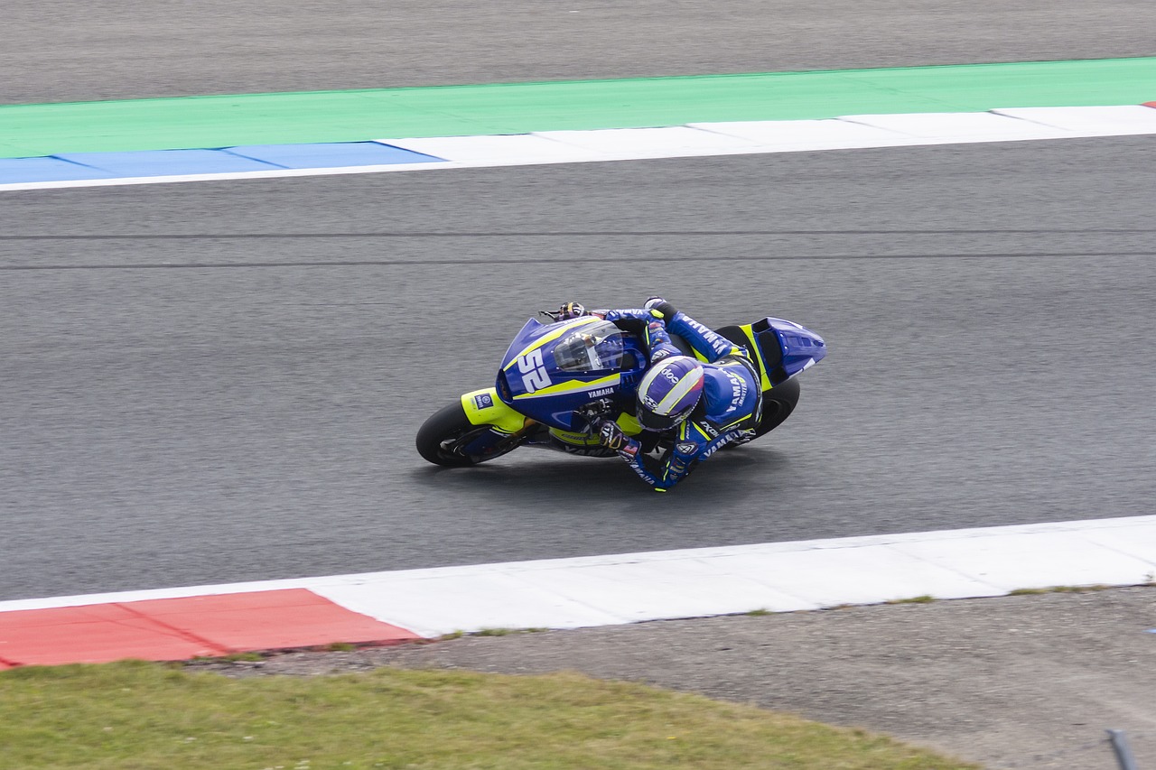 仅全力支持 仅全力支持