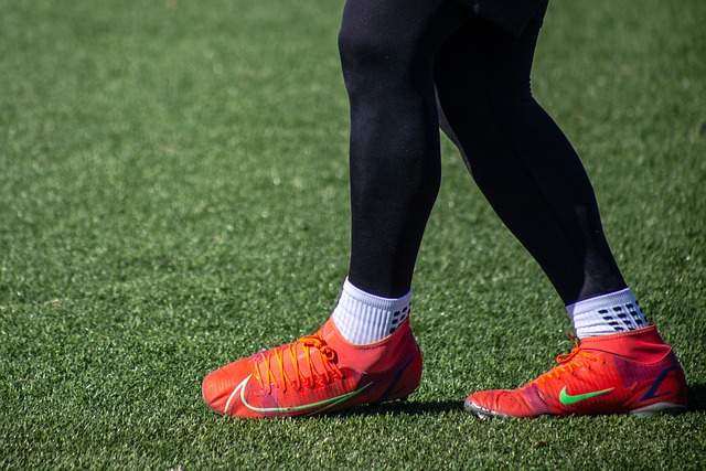 续发挥其 续发挥其