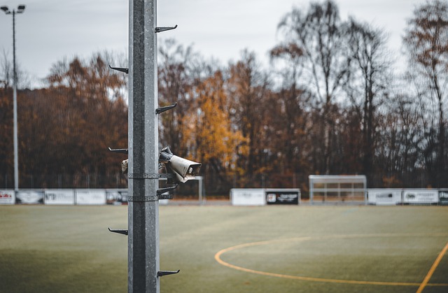 他们的缺席 他们的缺席