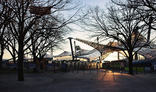 海南乒连队首位主力林诗栋被淘汰.