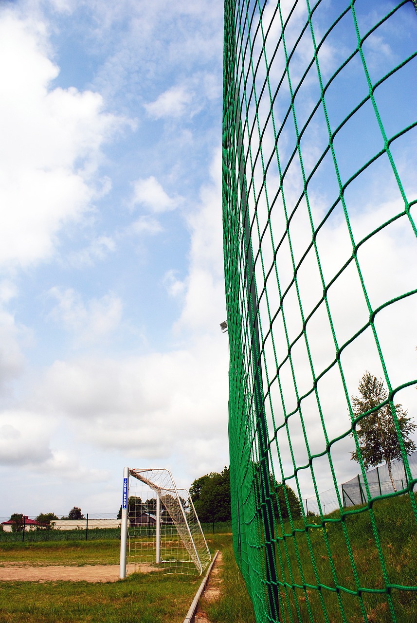 的引援计划 的引援计划