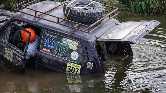 他们虽没有 他们虽没有