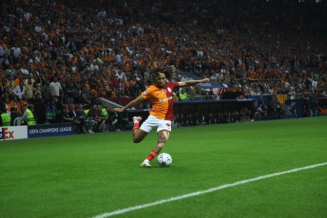 的中流砥柱 的中流砥柱