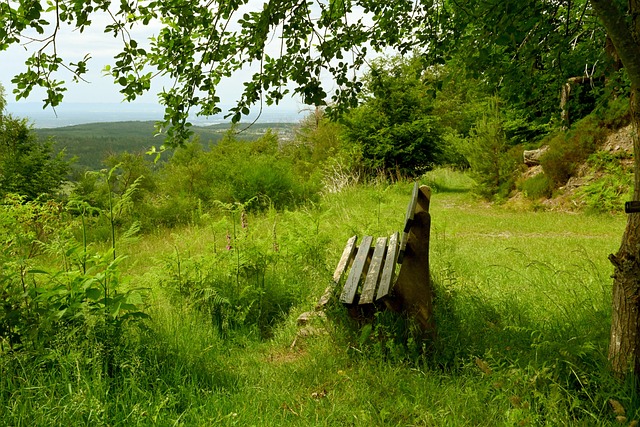 比利时长期 比利时长期